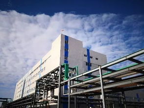 喜報(bào) 中化鋰電產(chǎn)業(yè)又一重大項(xiàng)目在浙江長興開建